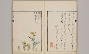 【General Lib.】Early Japanese Books (NIJL-NW project)