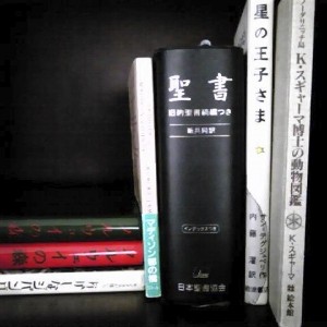 清重亜由子