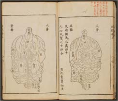 新刻華佗内照圖