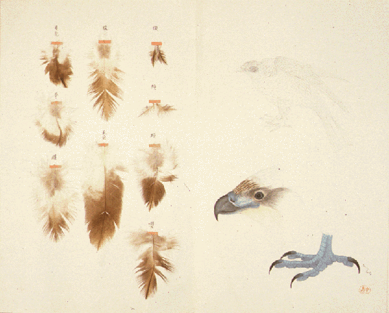 zoology_10