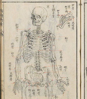 【医学部】医学図書館デジタル史料室古典籍 コレクション（『解体新書』より）