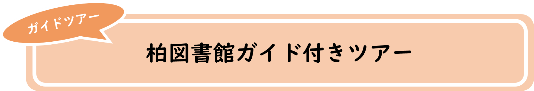 ガイド付きツアー