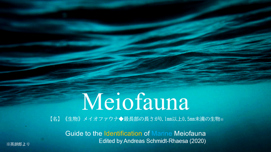 Guide to the identification of marine meiofauna Guide to the identification of marine meiofauna