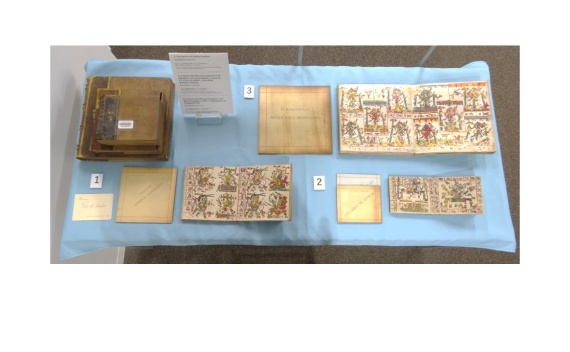 展示の様子 展示の様子