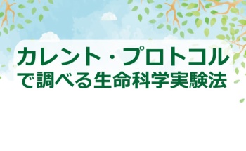 カレント・プロトコルで調べる生命科学実験法