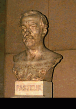 パスツールの銅像