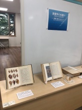ミニ展示:貝類学の先駆け(展示の様子)