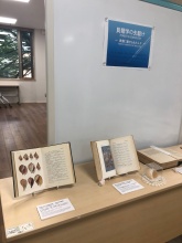 ミニ展示：貝類学の先駆け（展示の様子）