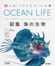 OCEAN LIFE 海の生物